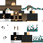 Texture for grau_1