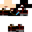 Texture for ds