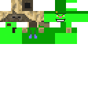 Texture for flippy