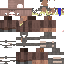 Texture for knight