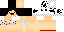 Texture for W4TS