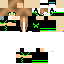 Texture for leonskin2.0