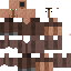 Texture for .