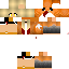 Texture for ida