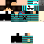 Texture for Skipper BR v2