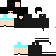 Texture for S2IngryS2