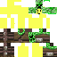 Texture for Creeper-Noob of Roblox