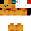 Texture for PichuDios