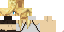 Texture for chascona survivior