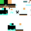 Texture for steve