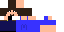 Texture for Steve