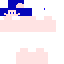 Texture for デビルサバイバー