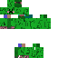 Texture for pikmi kriper yo