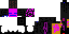 Texture for ender max