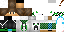 Texture for Intro SKin Minecraft C4D