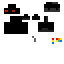 Texture for raven