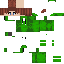Texture for Coat