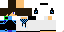 Texture for minecraft skin