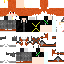 Texture for guideZ