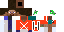 Texture for leon