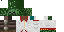 Texture for skymaxrs 5