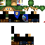 Texture for Link