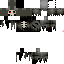 Texture for Skeleton Fly