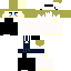 Texture for ALICE