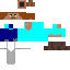 Texture for steve