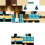 Texture for steve