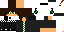 Texture for Miner