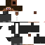 Texture for r2