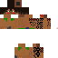 Texture for Lucas