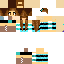 Texture for Skyar