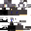 Texture for Flapi434