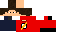 Texture for Steve8