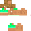 Texture for Skin pro