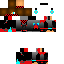 Texture for chapin02