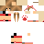 Texture for ivaa14