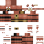 Texture for Porkpatch