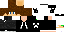 Texture for V1N1C1US