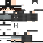 Texture for larisso thelink