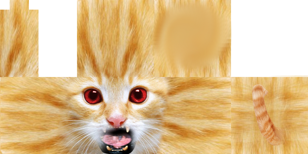 Texture for cat shotting