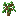 Texture for old oak sapling