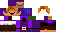 Texture for Purble Link