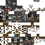 Texture for Megatron 2