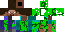 Texture for Steve-Creeper