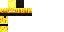 Texture for Ninja
