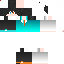 Texture for skyter