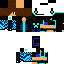 Texture for ds